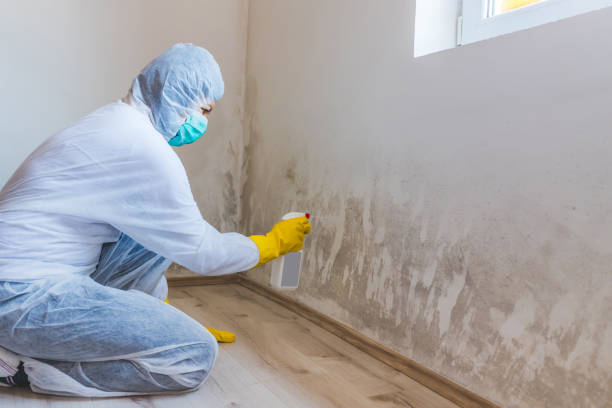 Licensed Mold Testing service in Dallas, NC - WQB Mold Removal